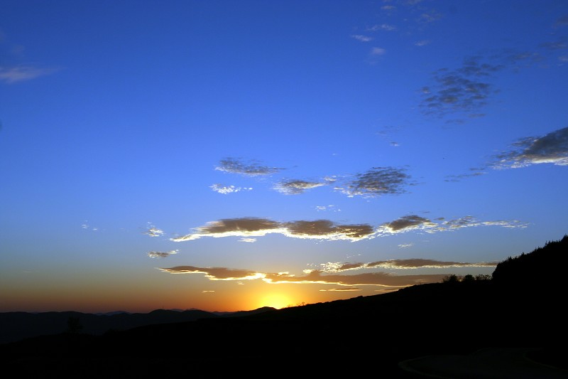20080814_8e03158aa4d76093422e7H0Gu44ZhzUq.jpg